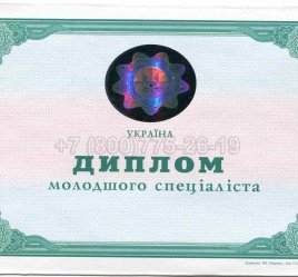 Диплом Техникума Украины 2005г в Ульяновске